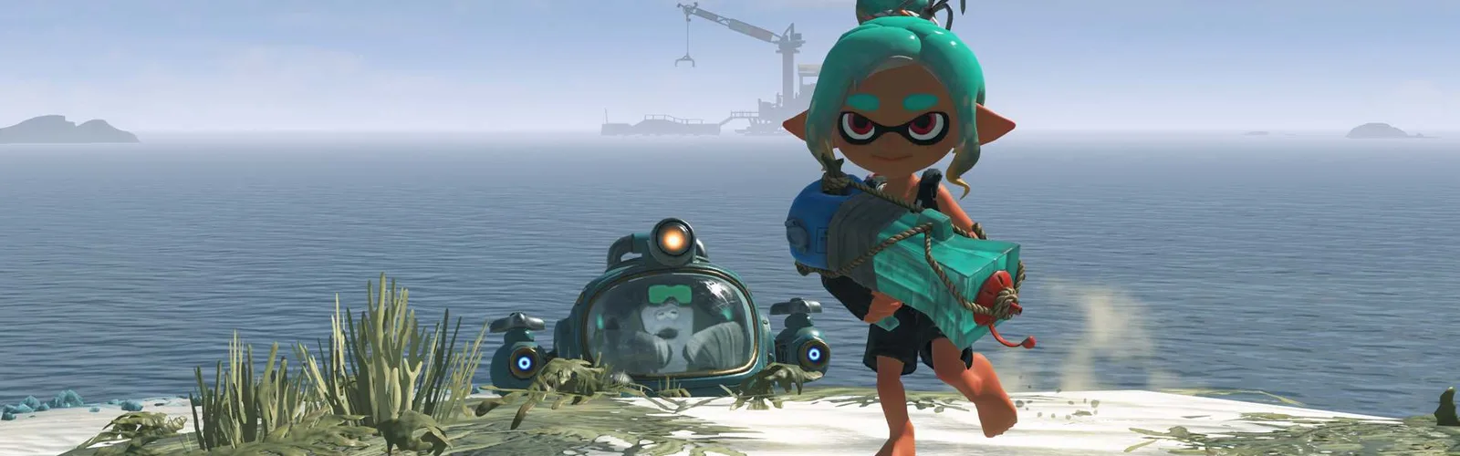 Banner — Splatoon Raiders