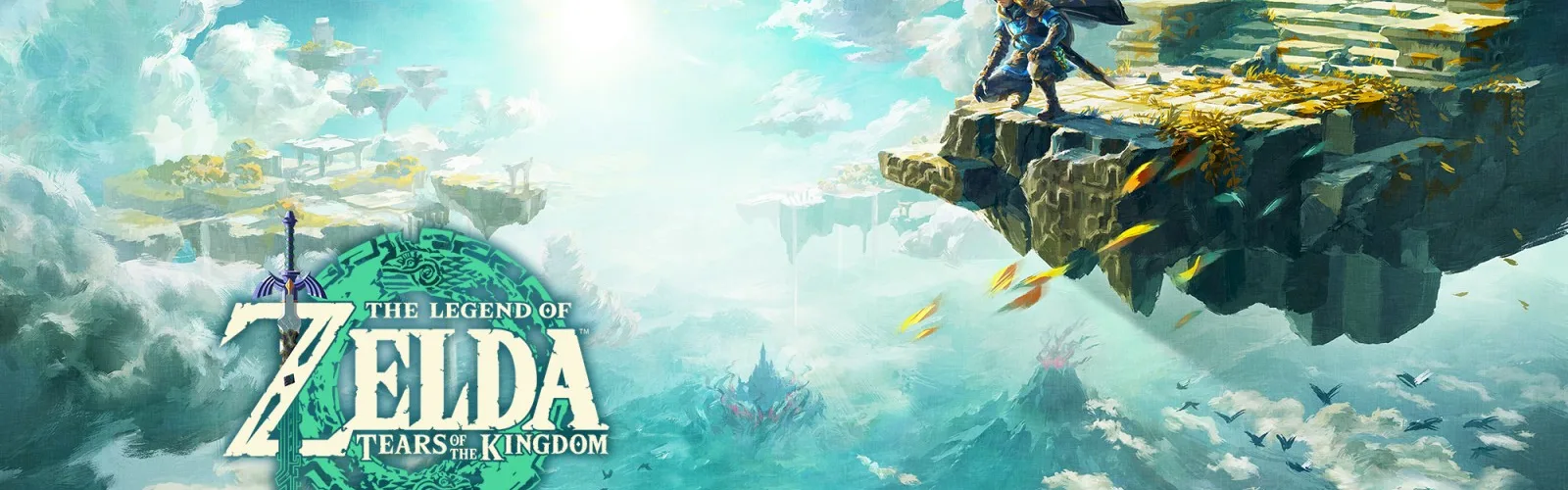 Banner — The Legend of Zelda: Tears of the Kingdom